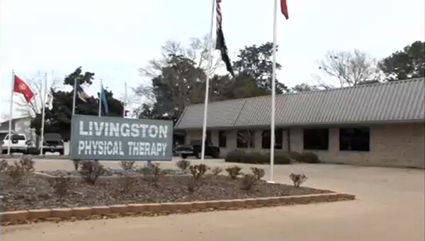 Leaf ; A close up shot of a green leaf.