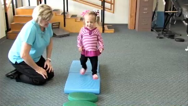 Ladybird ; A close up shot of a ladybird making its way across a leaf.